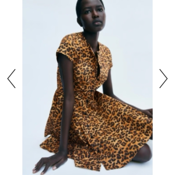 Zara Brown Leopard Print Mini Dress -size S - Picture 4 of 5